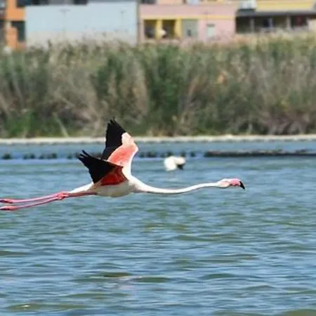 Sa Domixedda * Quartu SantʼElena