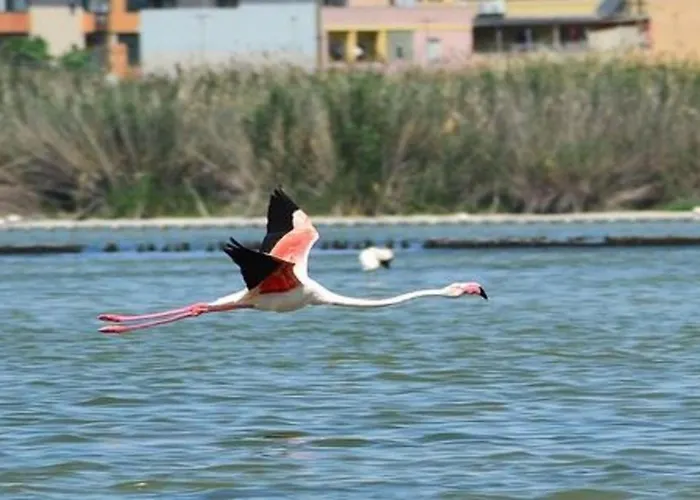 Sa Domixedda * Quartu SantʼElena