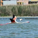 Sa Domixedda * Quartu SantʼElena