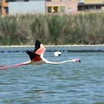 Sa Domixedda Quartu SantʼElena
